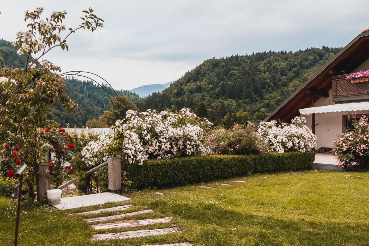 Vintgar Studio Bled Exterior photo